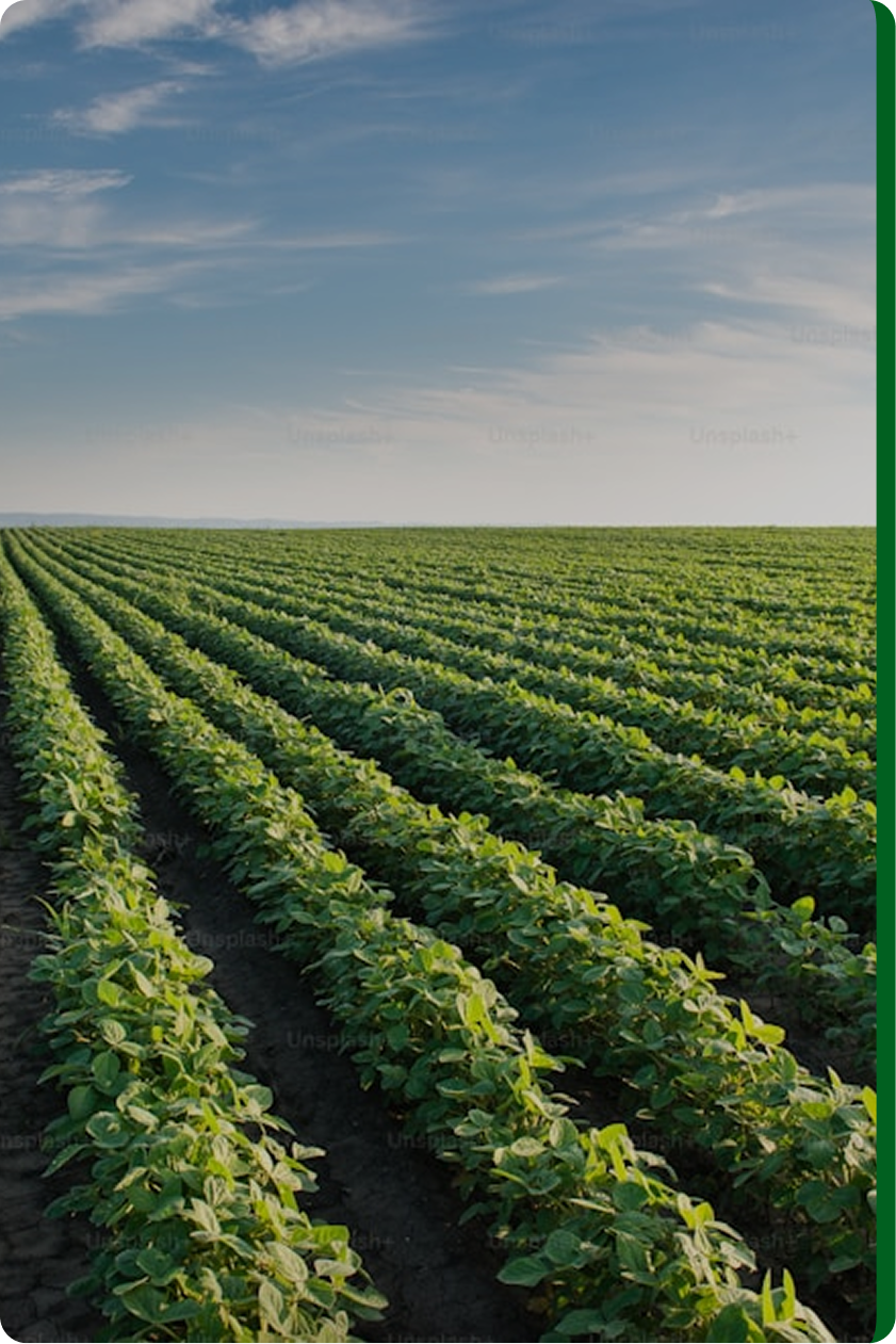 Food Security Index